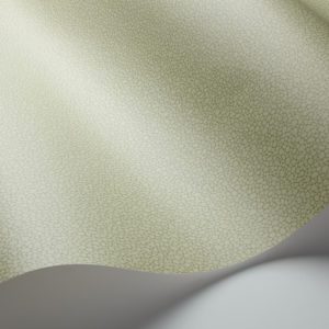 Английские обои Cole & Son, коллекция Landscape Plains, артикул 106/2026