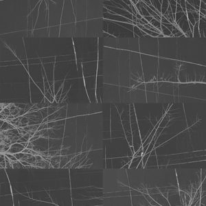 Панно Wall & Deco, коллекция Collection 2017, артикул WDBH1703