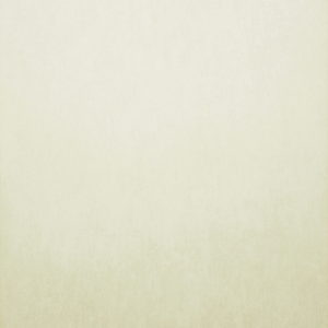 Бельгийские обои Omexco, коллекция On the Rocks, артикул RCA2940