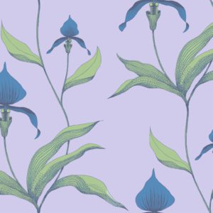 Английские обои Cole & Son, коллекция New Contemporary, артикул 66/4031