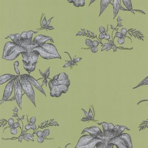 Английские обои Cole & Son, коллекция Fornasetti, артикул 77/8028