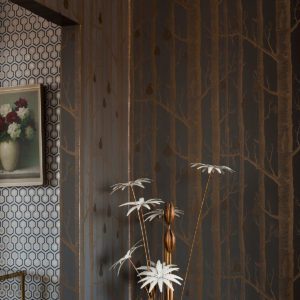 Английские обои Cole & Son, коллекция Contemporary Restyled, артикул 95/5028