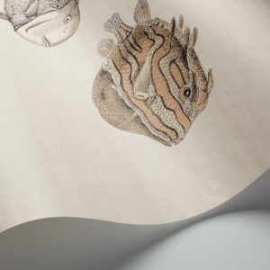 Английские обои Cole & Son, коллекция Fornasetti Senza Tempo, артикул 114/16033