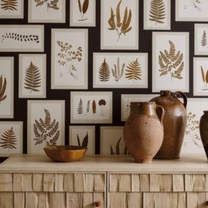 Английские обои Sanderson, коллекция Woodland Walk, артикул 215713