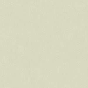 Французские обои Casadeco, коллекция Natsu, артикул NATS82187135