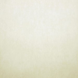 Бельгийские обои Omexco, коллекция On the Rocks, артикул RCA2114