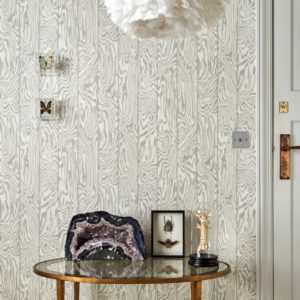 Английские обои Cole & Son, коллекция Curio, артикул 107/1004