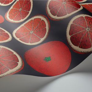 Английские обои Cole & Son, коллекция Fornasetti Senza Tempo, артикул 114/24046