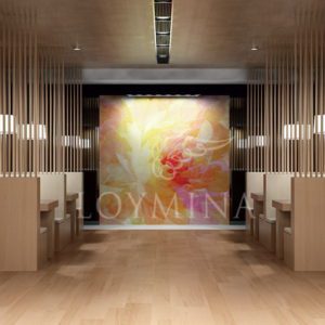 Loymina арт. DM 006