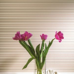 Milassa арт. Joli 6 002