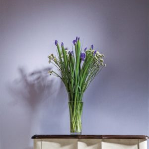 Milassa арт. PR9 021