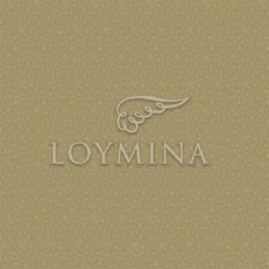 Loymina арт. V3 004