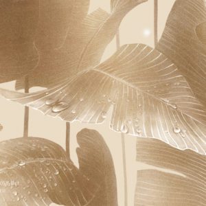 VR.0058-Br1, Ночная роса